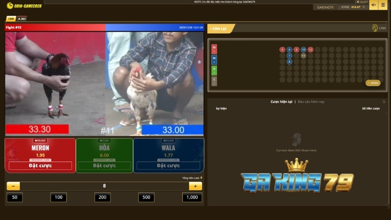 Giao diện sảnh ODIN Gamecock trực quan tại GAKING79 giúp người chơi dễ dàng lựa chọn trường gà yêu thích.