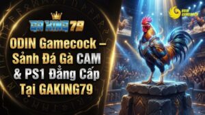 ODIN Gamecock – Sảnh Đá Gà CAM & PS1 Đẳng Cấp Tại GAKING79
