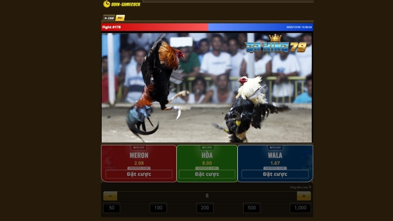 Sảnh “PS1” đá gà cựa dao Thái Lan, Philippines