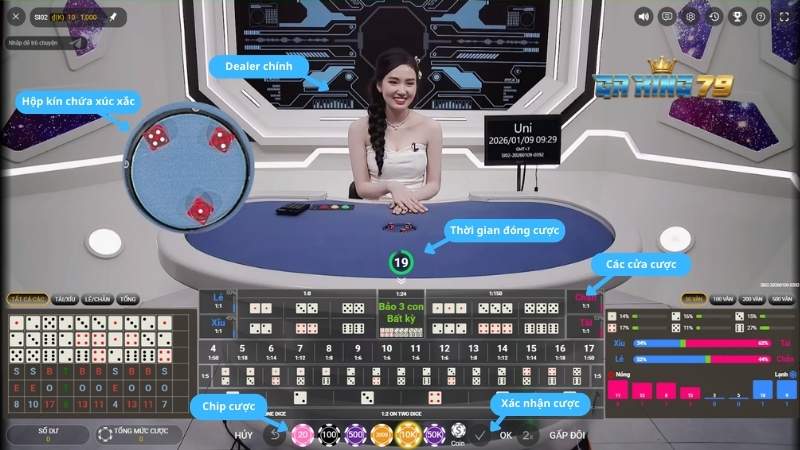 Cách đặt cược và theo dõi kết quả