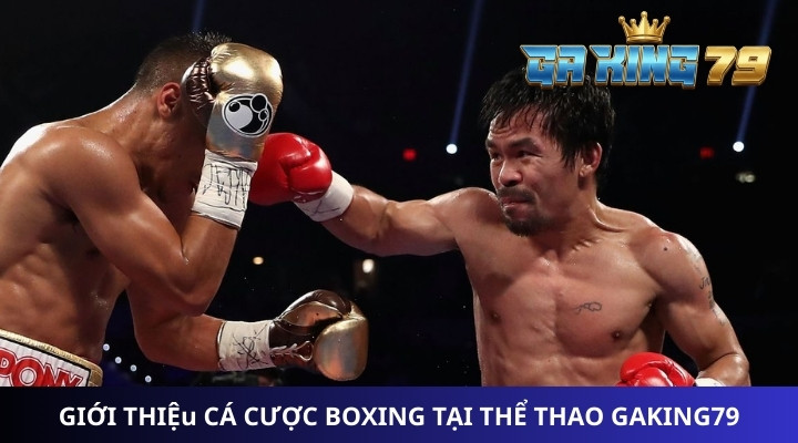 Giới thiệu cá cược Boxing tại Thể Thao GAKING79